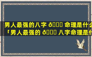 男人最强的八字 💐 命理是什么「男人最强的 🐕 八字命理是什么样的」